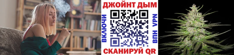 Конопля гибрид  хочу   Неман 